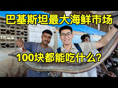 探索巴基斯坦最大海鲜市场，100块都能吃什么？挑战吃玛莎拉魔鬼鱼