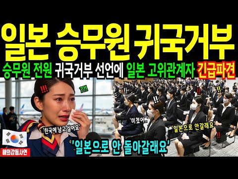 [해외감동사연] 일본 승무원 한국 경험후 "귀국거부" 일본 항공계 발칵! 고위관계자 긴급파견!