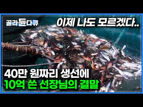 회로도 먹을 수 있는지 몰랐다. 최대 40만 원까지 한다는 국민생선｜1m짜리 대삼치를 잡기 위해 10억 원짜리 초대형 정치망까지 동원했더니｜겨울 제철 대삼치회｜극한직업｜#골라듄다큐