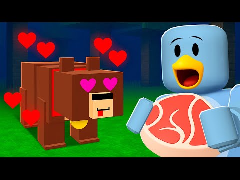 Milo Survives with a PET BEAR in 99 NIGHTS IN THE FOREST