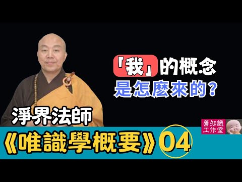 淨界法師：衆生的八識是什麽？「我」的概念是怎麽來的？果報是如何變現的？#阿賴耶識  #末那識 | 《唯識學》 06~08