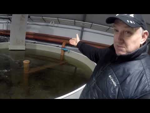 Ошибки при проектировании и изготовлении УЗВ