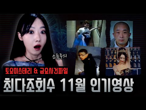 놓치기 아까운 11월 최다조회수 영상모음! 한번에 감상하세요