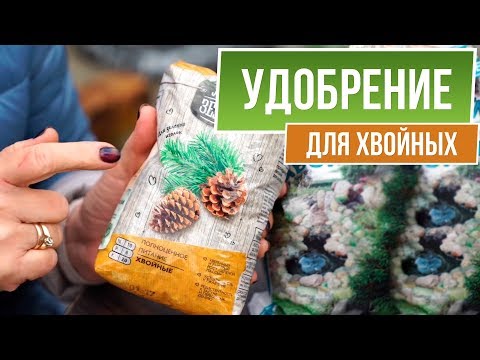 Лучшее Удобрение для Хвойных 🎄