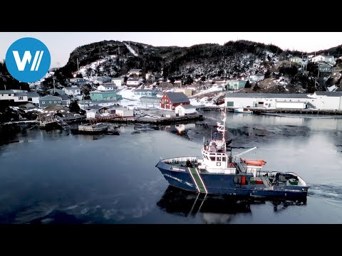 Neufundland - Bleiben oder gehen? (ARTE 360° Reportage)