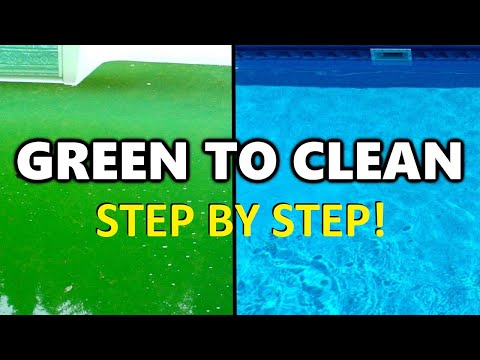 Green To Clean Water In A Pool - Everything You Need To Know