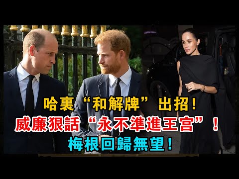 哈里“和解牌”出招，威廉七字狠話“永不準進王宮”強勢回擊，梅根回歸無望，王室修復大戲秒變“宣戰”大戲！#哈里#和解#威廉#王宮#梅根#王室#