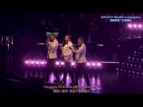 Westlife《Uptown Girl》20260201 广州演唱会