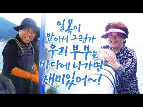 가을 전어라 살이 통통하네요~ 우리 친구가 한마리도 못잡았다고 하니까 내가 좀 잡아다가 줘야지 ㅎㅎ 바다위에 있으면 24시간이 어떻게 가는지 몰라 #부부 #어영차바다야 #개도