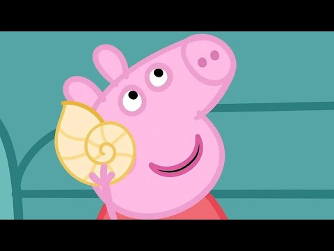 페파피그 | 몰리 몰 | 시즌 5 스페셜 | 어린이를 위한 만화