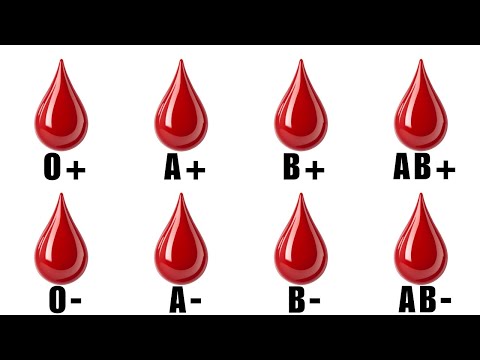 Every Hidden Defect in Your Blood Type Explained