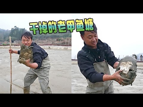 花1500元包下幹掉的老甲魚塘，裏面到底還有沒有甲魚？#戶外 #農村生活 #fishing