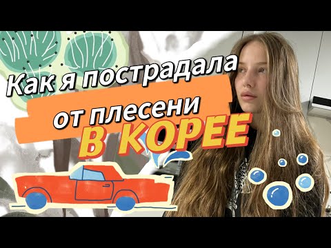 Плесень атаковала мою машину/сезон дождей в Корее/минусы жизни в Корее/KOREA VLOG