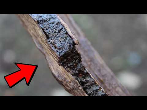 15 Natural Substances More Valuable than GOLD