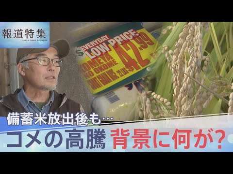 備蓄米放出後も…コメ高騰、農家が抱く危機感「農家数が減少、農村守る政策を」 卸売業者「JA全農が用意できないという話」【報道特集】｜TBS NEWS DIG