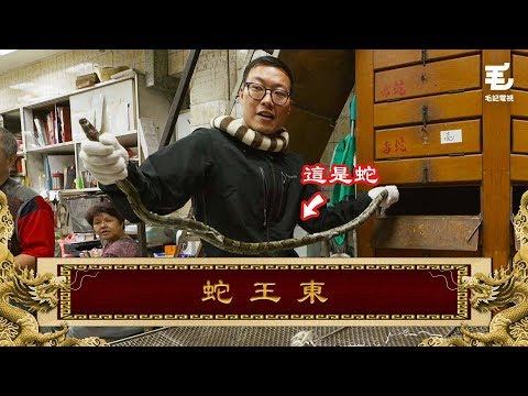 13/12《國家級任務》第48集 蛇王東