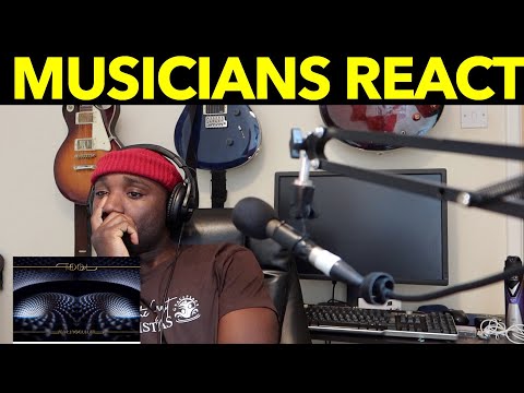 FIRST REACTION TO TOOL INVINCIBLE