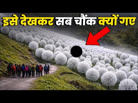 सुनसान इलाको के सबसे डरा देने वाले रहस्य !