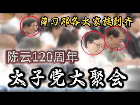 【太子党秘辛】陈云诞辰，太子党大聚会；薄一波胡耀邦各家族到齐；习仲勋当年在陕北死里逃生；陈云秘书许永跃与国学大师南怀瑾的渊源；许永跃与王岐山秘书董宏的兄弟情；李铁映父亲李维汉与邓小平的夺妻之恨