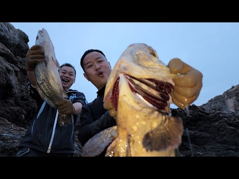 禁渔期500平巨坑鱼群爆发，抓鱼场面太燃，收获堪比渔船远洋捕捞