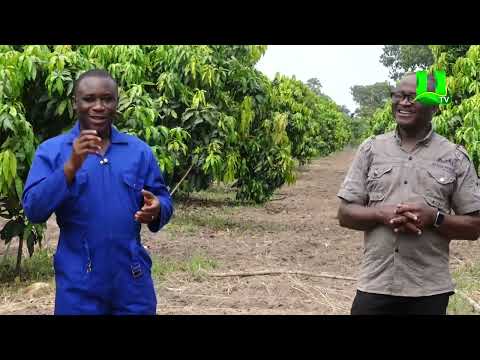 AYEKOO:  2018 NATIONAL BEST FARMER,  PROGRESS SO FAR