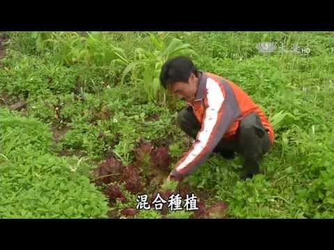 【農夫與他的田】20150504 - 復耕半農自足樂