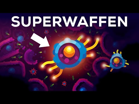 Diese Zellen machen dich immun gegen ALLES