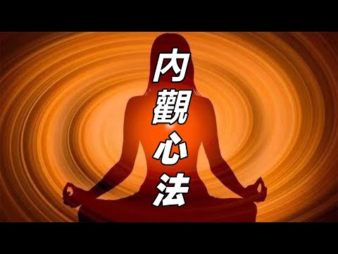 內觀實戰指南，帶妳走向更高維的生命視角！壹步步走向真正的自由與自在#內觀 #內觀引導 #修心修行 #實修 #覺醒開悟