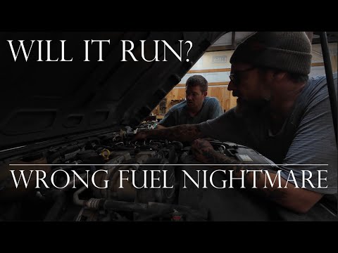 An American Farmer saves Randy the Landy