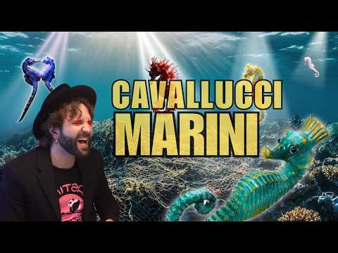 Anche i cavallucci marini sono montati MALE