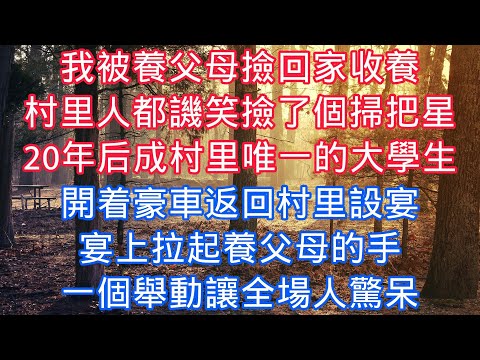 我被養父母撿回家收養，村裏人都譏笑撿了個掃把星，20年後成村裏唯一的大學生，開着豪車返回村裏設宴，宴上拉起養父母的手，一個舉動讓全場人驚呆#老人感悟#為人處世#生活經驗#情感故事#爽文#養老#中年