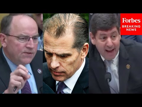 ATF Director Asked Point Blank By Tom Tiffany What Should Happen To Someone Who Tosses Gun In Trash