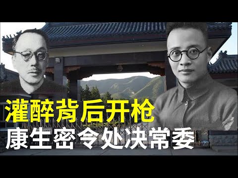 公报私仇！唯一被密令做掉的共党常委 266集