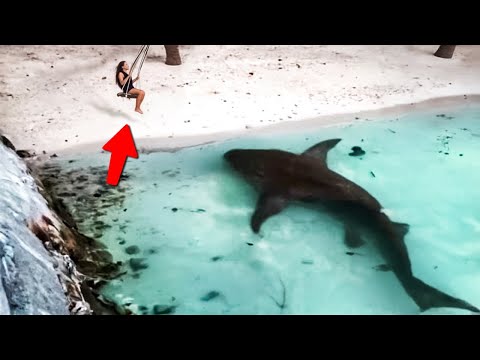 That Was Really Filmed On Camera