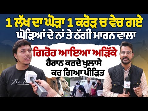 1 ਲੱਖ ਦਾ ਘੋੜਾ 1 ਕਰੋੜ ਚ ਵੇਚ ਗਏ ਘੋੜਿਆਂ ਦੇ ਨਾਂ ਤੇ ਠੱਗੀ ਮਾਰਨ ਵਾਲਾ ਗਿਰੋਹ ਆਇਆ ਅੜਿੱਕੇ ਹੈਰਾਨ ਕਰਦੇ ਖੁਲਾਸੇ
