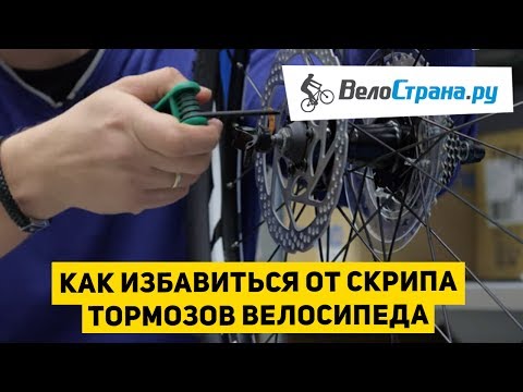 Как избавиться от скрипа тормозов велосипеда
