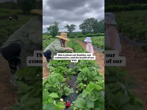 65e00a67e9ce4e42952a3a9795359a3d