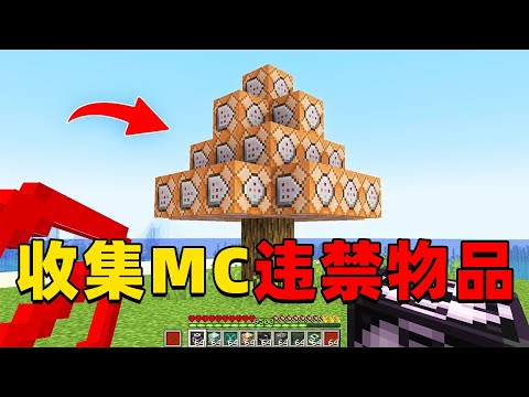 我的世界：肝帝挑战收集MC中所有违禁物品，他能挑战成功吗？