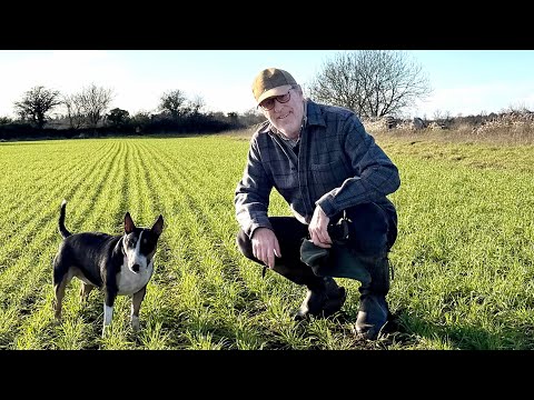 A good harvest will be critical in 2026, or this year could be make or break for many farms