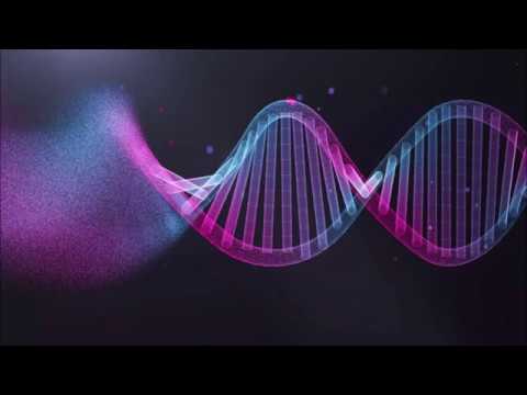 الشيخ عبدالحميد كشك يرد على الملحدين باسلوب علمي بانه لا مجال للصدفة في هذا الكون