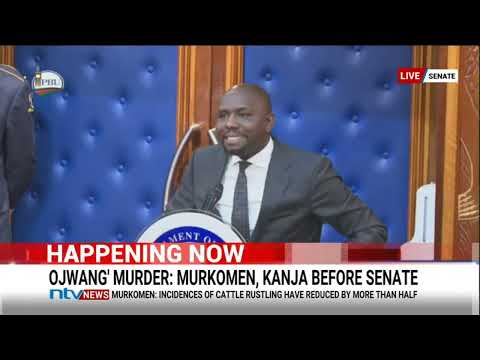 CS Murkomen responds to Senator Cherargei's call for him to resign