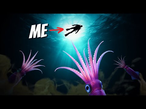 I Drifted in the Indian Ocean at Midnight: Here’s What Followed Me