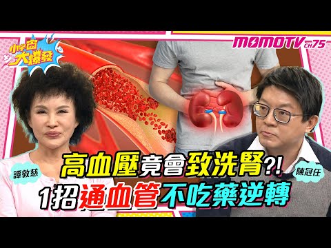 高血壓竟會致洗腎 ?! 1招 通血管不吃藥逆轉  ft. 陳冠任醫師 譚敦慈【 小宇宙大爆發 】