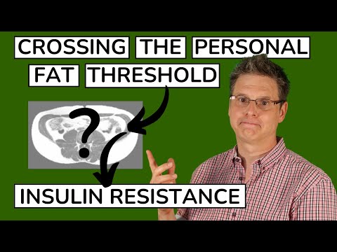 Causes of Insulin Resistance: The Personal Fat Threshold