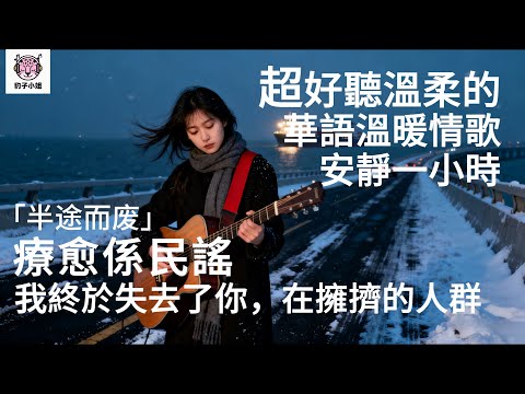 2025 Beautiful Chinese Folk "半途而废" - Perfect BGM for Study & Solitude