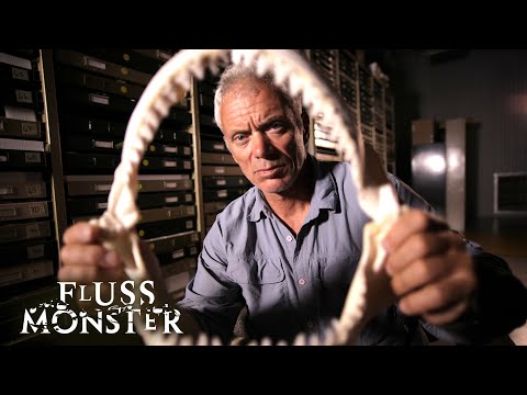 Der australische Flusshai: Vom Aussterben bedrohtes Mysterium | S4 E05 | Fluss Monsters