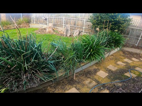 NEGLECTED Yard Gets YEARLY Makeover | Satisfying TRANSFORMATION