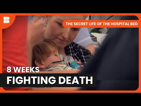 Baby Calvin Fights for Life on Resuscitation Bed | Secret Life of a Hospital Bed