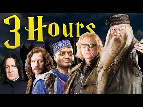 The ENTIRE Timeline of the First Wizarding War To Fall Asleep To