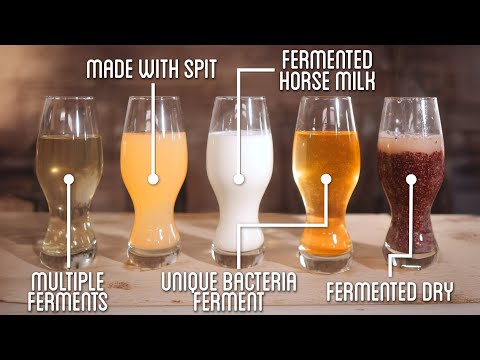 Fermented Horse Milk and Spit, 5 Unique Brews From Around the World